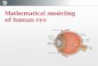 Mathematical modeling of human eye an e rio par t of ey , f ace nd ose Temporal Post e rio Ciliar y A rt e y N asal P ost e ri Ciliary A r t er y ... • difference between PSV time