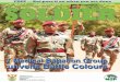 SA Soldier - SANDFdod.mil.za/sasoldier/2017/Sold Vol 24 No12 net.pdf6 2 0 1 7 V O L 2 4 N O 1 2 • S A S O L D I E R SA Soldier SA SOLDIER welcomes letters to the Editor. Short letters