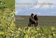 Falconry in Slovakia - International Association for ... · reports about falconers until the first World War. Renaissance of Falconry in Slovakia. ... first falconry meet in 1965