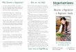 Become a Vegetarian - a Beginners Guide · healthy vegetarian food including cooking demonstra-tions, talks by doctors, a giant vegetarian bookstore, ... crops directly leaves more