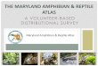 THE MARYLAND AMPHIBIAN & REPTILE ATLASmdcoastalbays.org/content/docs/Herp Atlas v2.pdfGLOBAL DECLINE OF AMPHIBIANS & REPTILES •Amphibians 30% •Salamanders 49% •Frogs 29% •Reptiles