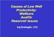 Causes of Low Well Productivity: Wellbore And/Or Reservoir ... · Causes of Low Well Productivity: Wellbore And/Or Reservoir Issues ... Adverse Relative Permeability Effects ... If