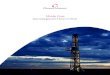 6369 Shale Gas Brochure Projects Feb14 D2V1 · to be due to problems faced by existing licensees in accessing ... foreign investors may invest in China’s shale gas industry and