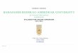 WEBSITE VERSION BABASAHEB BHIMRAO AMBEDKAR UNIVERSITY …bbau.ac.in/Admissions2014/docs/COMPILED SYLLABU… ·  · 2015-03-30WEBSITE VERSION BABASAHEB BHIMRAO AMBEDKAR UNIVERSITY