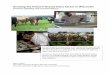 Growing the Pasture-Grazed Dairy Sector in Wisconsin · Growing the Pasture-Grazed Dairy Sector in Wisconsin . ... Introduction to the project 1.1. ... (formerly Edelweiss Graziers