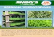 Organic Leucadia Farm - Jimbo's…Naturallyjimbos.com/wp-content/uploads/2015/12/SolmanWheatgrass_2016.pdf · Solman wheatgrass Organic Leucadia Farm Solman Wheatgrass is a one acre