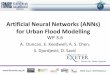 Artificial Neural Networks (ANNs) for Urban Flood Modellingemps.exeter.ac.uk/media/universityofexeter/emps/research/cws/... · Artificial Neural Networks (ANNs) for Urban Flood Modelling
