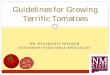 Guidelines for Growing Terrific Tomatoes - New aces.nmsu.edu/ces/plant_sciences/documents/tomatoes-2014...Guidelines for Growing Terrific Tomatoes Tomatoes (Solanum lycopersicum) Most