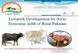 Livestock Development for Socio Economic uplift of Rural …hhrd.pk/lddc2014/wp-content/uploads/2014/12/Dr.-Rasheed-141216... · Livestock Development for Socio Economic uplift of
