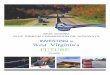 Final Report May 2015 - West Virginia Department of ...transportation.wv.gov/highways/highwayscommission...Final Report – May 2015 1 Table of Contents Section Page Executive Summary