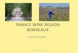 FRANCE WINE REGION BORDEAUX - … WINE REGION BORDEAUX BOB FRASER Bob Fraser- do not duplicate. Introduction ... and microclimate are diverse within the Haut-Médoc. –Wines from