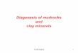 Diagenesis of mudrocks and clay minerals - unipg.itsc570001/SEDIMENTARY PETROGRAP… · s Clay minerals can be modified and altered during early and late metamorphism. post - the