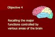 Objective 4 Recalling the major functions controlled by · Recalling the major functions controlled by various areas of the brain . Cerebrum ... Focus charting (DAR and AIR):