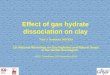 Effect on gas hydrate dissocoiation on clay · Water + Laponite + R11 Expand back due to melting? Expand further due to R11 ”boiling” forming gas bubbles Shrink due to hydrate