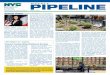 WEEKLY PIPELINE - Welcome to NYC.gov · 897-9677 OR SEND A MESSAGE THROUGH PIPELINE. HELP IS ON THE WAY. According to the Occupational Safety and Health …