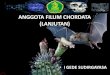 ANGGOTA FILUM CHORDATA (LANJUTAN) ·  · 2015-04-062015-04-06 · What do you notice that is odd? Reptiles •The reptile clade includes the tuataras, lizards, snakes, ... Green