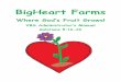 BigHeart Farms - MINISTRY-TO-CHILDREN · kids are in their small groups, the farmer goes around visiting the various stations, ... Be sure the Harvesters are gifted encouragers and