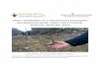 Bird trapping in the ESBA Annual Report 2016 · bird trapping in the british eastern sovereign base area on cyprus: annual report 2016 ... 3.5 the estimated number of killed birds