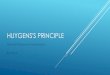Huygens's Principle - WordPress.com · HUYGENS'S PRINCIPLE Wavelet Theory and Visualisation By Paul S. HUYGENS’S WAVELETS ... -0.14272 -0.74145 -1 -0.71813 -0.00449-0.74145 -0.99552
