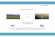 Cropping System - Hill Agric€¦ ·  · 2014-01-12different aspects of crop production, ... role of non-monetary inputs and low cost technologies; ... Cropping pattern Cropping