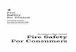 Fire Safety For Consumers - Texas Department of Insurance · Texas Department of Insurance Economics (High School) Fire Safety ... Presentation Of Content: ... (High School): Fire