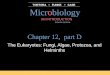 PowerPoint Presentationfaculty.sdmiramar.edu/dtrubovitz/micro/lect… · PPT file · Web view · 2013-10-20Chapter 12, part D The Eukaryotes: Fungi, Algae, Protozoa, and Helminths