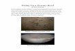 Fixing Up a Wormy Bowl - More Woodturning Magazine Up a Wormy Bowl by Bob Heltman Good neighbor Keith Thomas, ... if one did not sand all the way through to bare wood. I remember turning