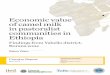 Economic value of camel milk in pastoralist communities …pubs.iied.org/pdfs/10119IIED.pdf · of camel milk in pastoralist communities in ... Economic value of camel milk in pastoralist