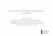 Effective Field Theories of Topological Insulatorsblogs.bu.edu/ppcm/files/2014/05/Fradkin-ppcm.pdfEffective Field Theories of Topological Insulators Eduardo Fradkin University of Illinois