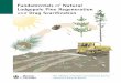 Fundamentals of Natural Lodgepole Pine Regeneration · The post-harvest survey procedures for estimating the likelihood ... if natural regeneration is ... planning steps for natural