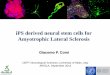 iPS derived neural stem cells for Amyotrophic Lateral ... Comi.pdf · iPS derived neural stem cells for Amyotrophic Lateral Sclerosis Giacomo P. Comi DEPT Neurological Sciences, University