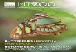 FOR MEMBERS OF WOODLAND PARK ZOO • SUMMER 2016 · FOR MEMBERS OF WOODLAND PARK ZOO • SUMMER 2016 ... BEYOND BEAUTY: RESTORING RARE BUTTERFLIES ... When we introduce children to