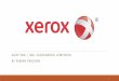 AUDITING | ING. OLEKSANDRA LEMESHKO BY FABIAN … · Sources Case 4.5: „Xerox Corporation: Evaluating Risk of Financial Statement Fraud“ by Mark S. Beasley, Frank A. Buckless,