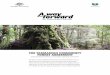 THE TASMANIAN COMMUNITY FOREST AGREEMENT · The Tasmanian Community Forest Agreement is a fresh start for the forest industry – a chance to move into a new era of smart practice,