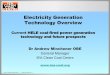 Electricity Generation Technology Overview - unece.org · Electricity Generation Technology Overview ... combination of ESP plus part bag filter. ... Bag filters are a more expensive