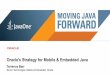 Oracle's Strategy for Mobile & Embedded Java · Oracle's Strategy for Mobile & Embedded Java Terrence Barr ... Oracle Java Embedded Client 1.0 Java SE for Embedded 7 Java ME SDK 3.0.5