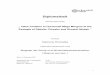 Diplomarbeit - univie.ac.atothes.univie.ac.at/347/1/12-11-2007_0204666.pdf · 1.3.5. Stage 5 – Post Acquisition Audit and Organizational Learning ... Case Study – Value Creation