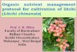 Organic nutrient management protocol for …litchisa.co.za/Organic nutrient management_SK Mitra.pdfOrganic nutrient management protocol for cultivation of litchi ... To standardize