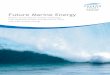 Future Marine Energy - Robert B. Laughlinlarge.stanford.edu/.../2012/ph240/thomas2/docs/futuremarineenergy.pdfFuture Marine Energy ... Summarises the MEC approach and its outcomes;