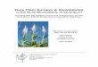 Rare Plant Surveys & Stewardship - Manitoba · Rare Plant Surveys & Stewardship ... extent of all rare plant occurrences on the Tall Grass Prairie Preserve and adjacent road allowances
