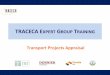 TRACECA EXPERT GROUP TRAINING Transport … · rationale choices: ... continuous fine tuning, ... constrained and there are many opportunities for trading them off