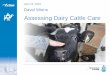 Assessing Dairy Cattle Care · Are aware of pressures on retailers, food companies Strengthen the message, not just our image/ brands. Farmers care Animal care makes sense to farmers