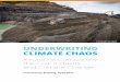 © Kemal Jufri, Greenpeace UNDERWRITING CLIMATE CHAOSunfriendcoal.com/wp-content/uploads/2017/06/Coal-insurance... · UNDERWRITING CLIMATE CHAOS Insurance Companies, ... UNDERWRITING
