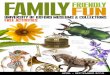 UNIVERSITY OF OXFORD MUSEUMS & COLLECTIONS  · PDF fileUNIVERSITY OF OXFORD MUSEUMS & COLLECTIONS FAMILYFUN Botanic Garden ... storybook characters, ... Sat 2nd Apr SUNDAYS