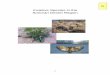 Invasive Species in the Sonoran Desert Region SPECIES IN THE SONORAN DESERT REGION Invasive species are altering the ecosystems of the Sonoran Desert Region. Native plants have been