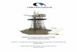NINIAN NORTHERN PLATFORM DECOMMISSIONING · NINIAN NORTHERN PLATFORM DECOMMISSIONING . Report – Jacket & Drill Cuttings Pile Comparative Assessment & ... decommission. The topsides