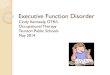 Executive Function Disorder - Taunton Public Schools Function Disorder Cindy Kennealy, ... Make the learning process as concrete ... take into account students executive skills strengths