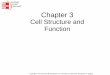 Cell Structure and Function - Welcome to Biology! - Mt ...cherylchowbiology.weebly.com/uploads/1/7/1/7/17179396/lecture_3.pdf · The Cell Theory •All organisms are composed of one