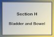 Section H Bladder and Bowel - Maine.gov 3.0 Training... · o Use of and response to urinary toileting programs o Urinary and bowel continence o Bowel toileting programs o Bowel patterns