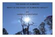 THE BOOK OF NUMBERS WHAT IS THE BOOK OF NUMBERS … · what is the book of numbers about? by harold harstvedt. the lord’s promise to abraham "i will make you a great nation 